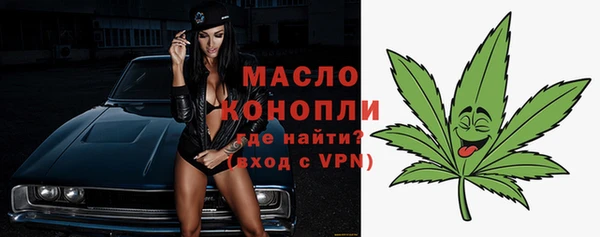 стаф Ельня