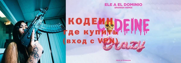 стаф Ельня