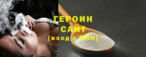 стаф Ельня