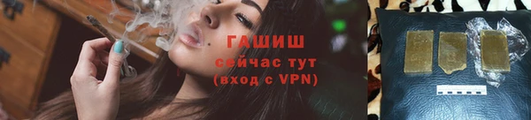стаф Ельня