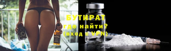 стаф Ельня