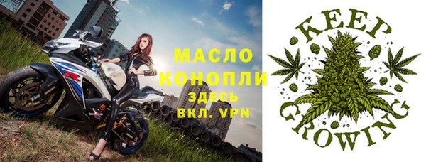 стаф Ельня