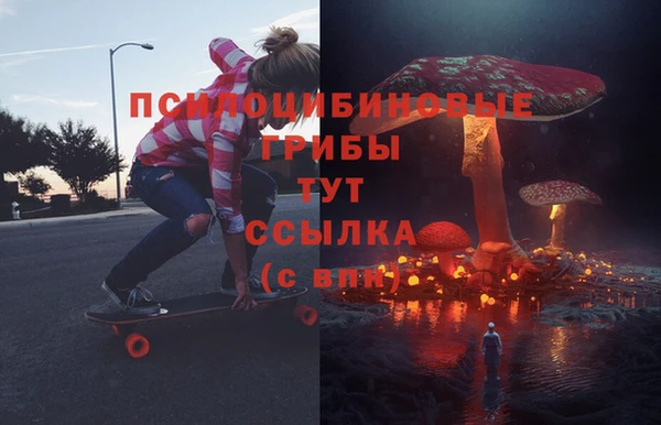 стаф Ельня