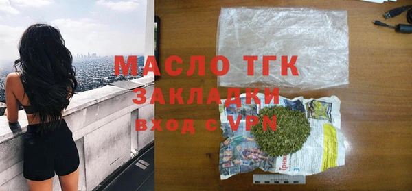 стаф Ельня