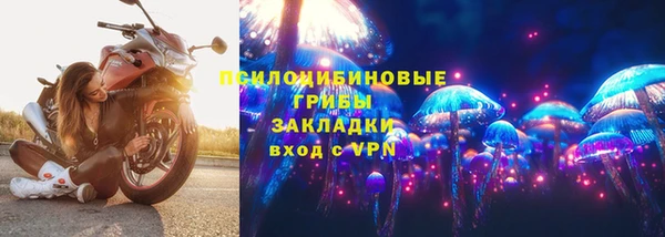 винт Елабуга