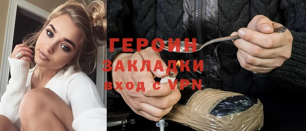 стаф Ельня