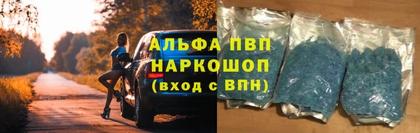 стаф Ельня