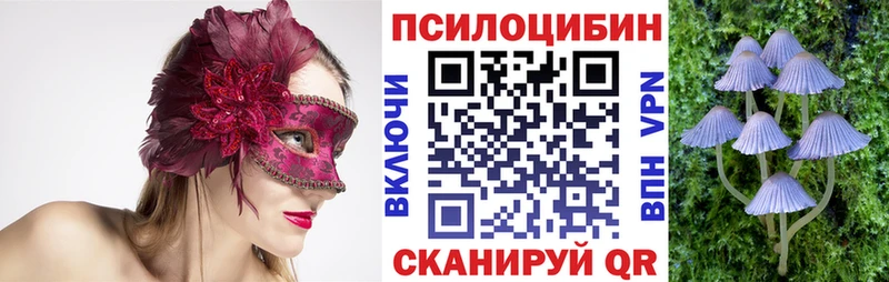 Галлюциногенные грибы Cubensis  Северо-Курильск 